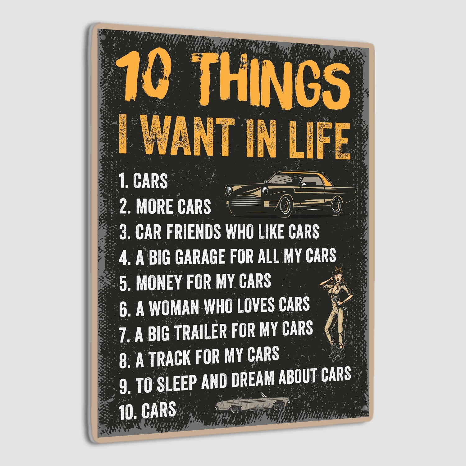 10 Thing I Want In Life, Metal Signs