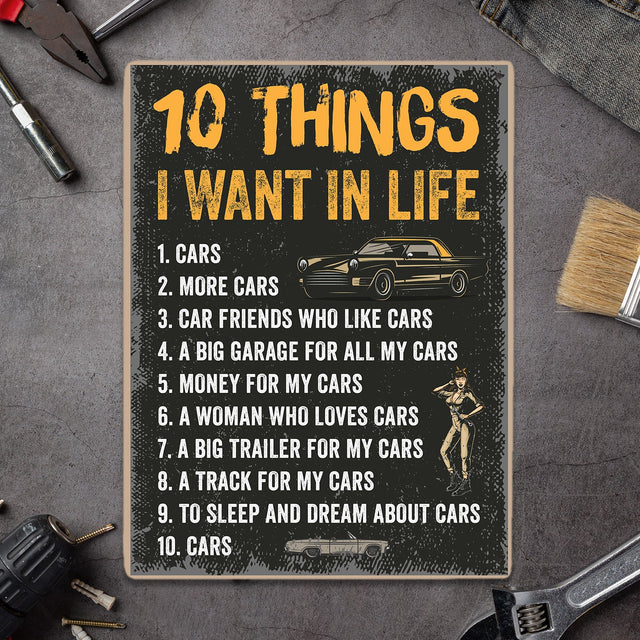 10 Thing I Want In Life, Metal Signs