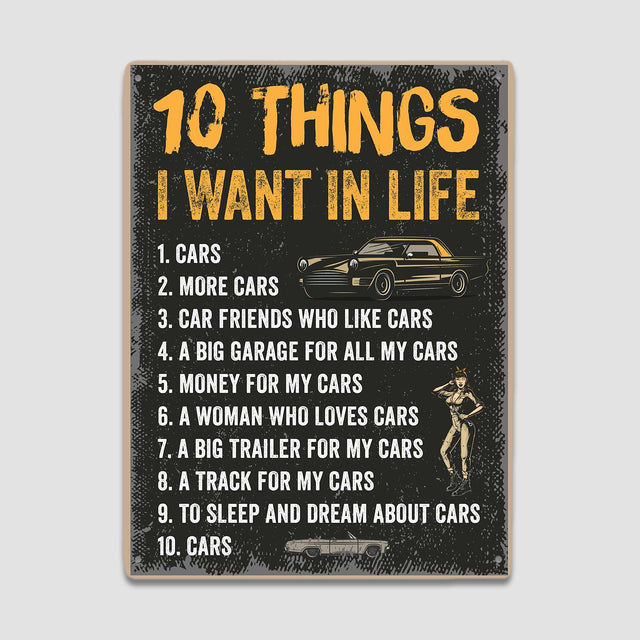 10 Thing I Want In Life, Metal Signs