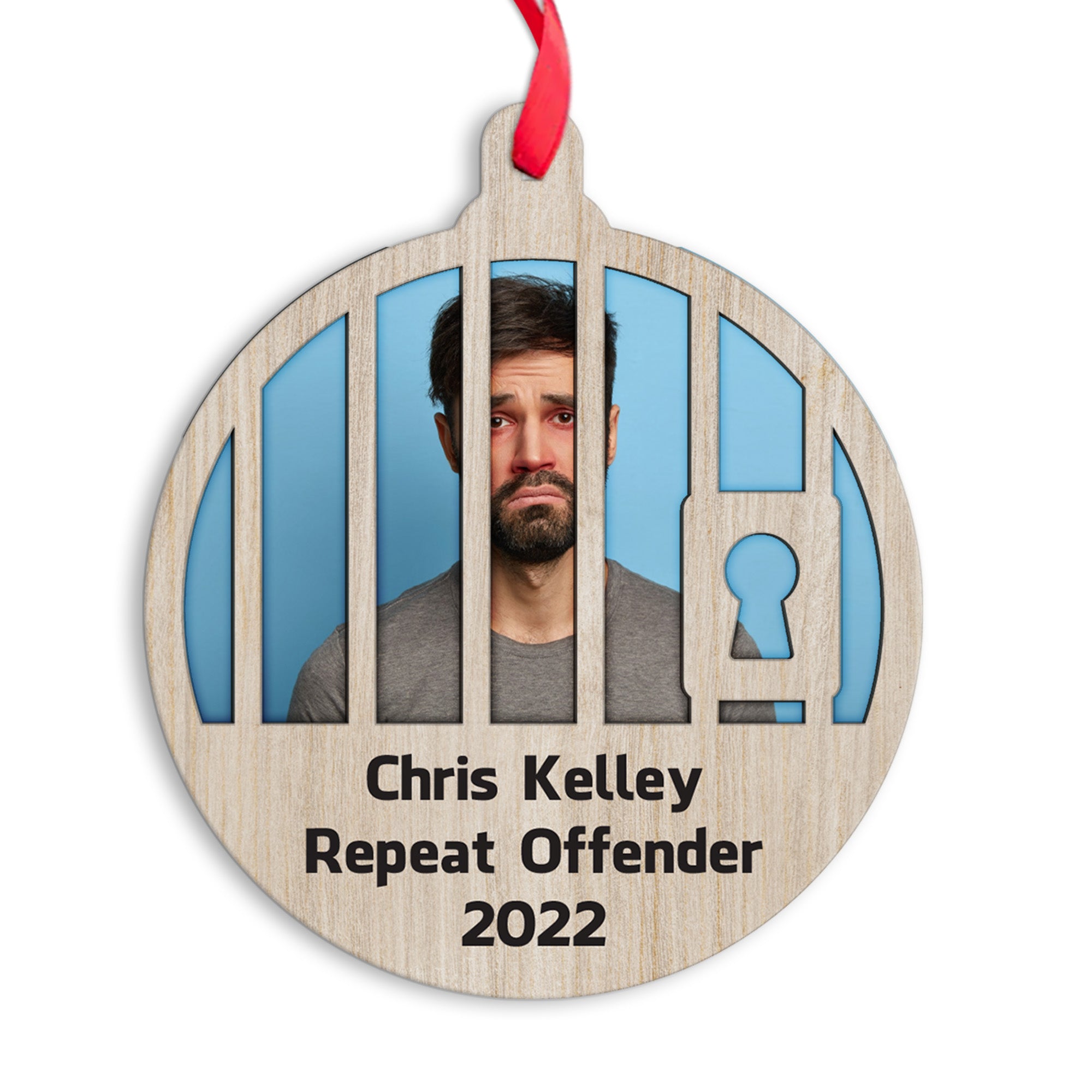 Personalized Ornament, Repeat Offender Circle Ornament