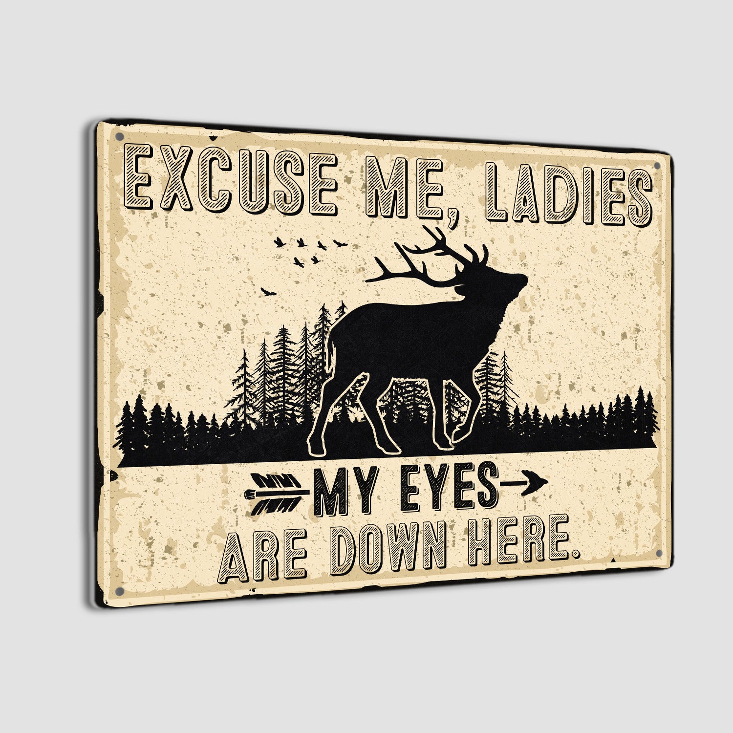 Excuse Me, Ladies My Eyes Are Down Here, Metal Signs