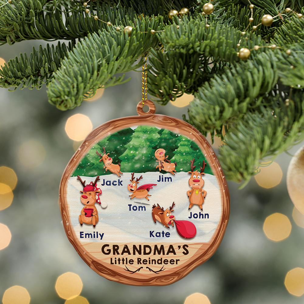 Family Name, Christmas Little Reindeer, Christmas Shape Ornament 2 Sides