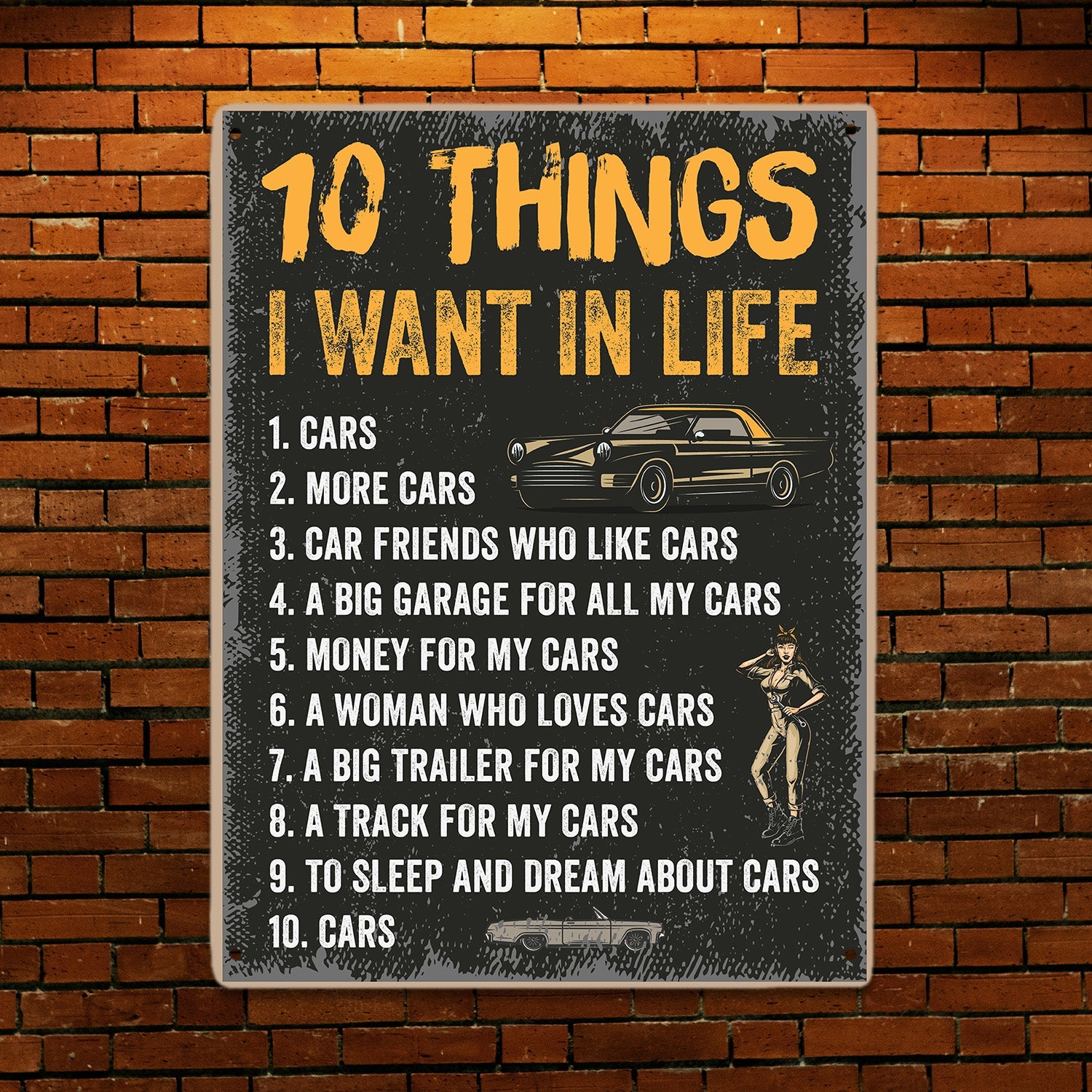 10 Thing I Want In Life, Metal Signs
