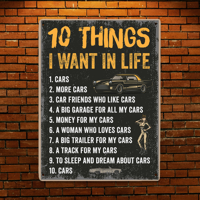 10 Thing I Want In Life, Metal Signs