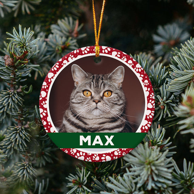 Custom Photo And Cat Name Decorative Christmas Circle Ornament 2 Sided