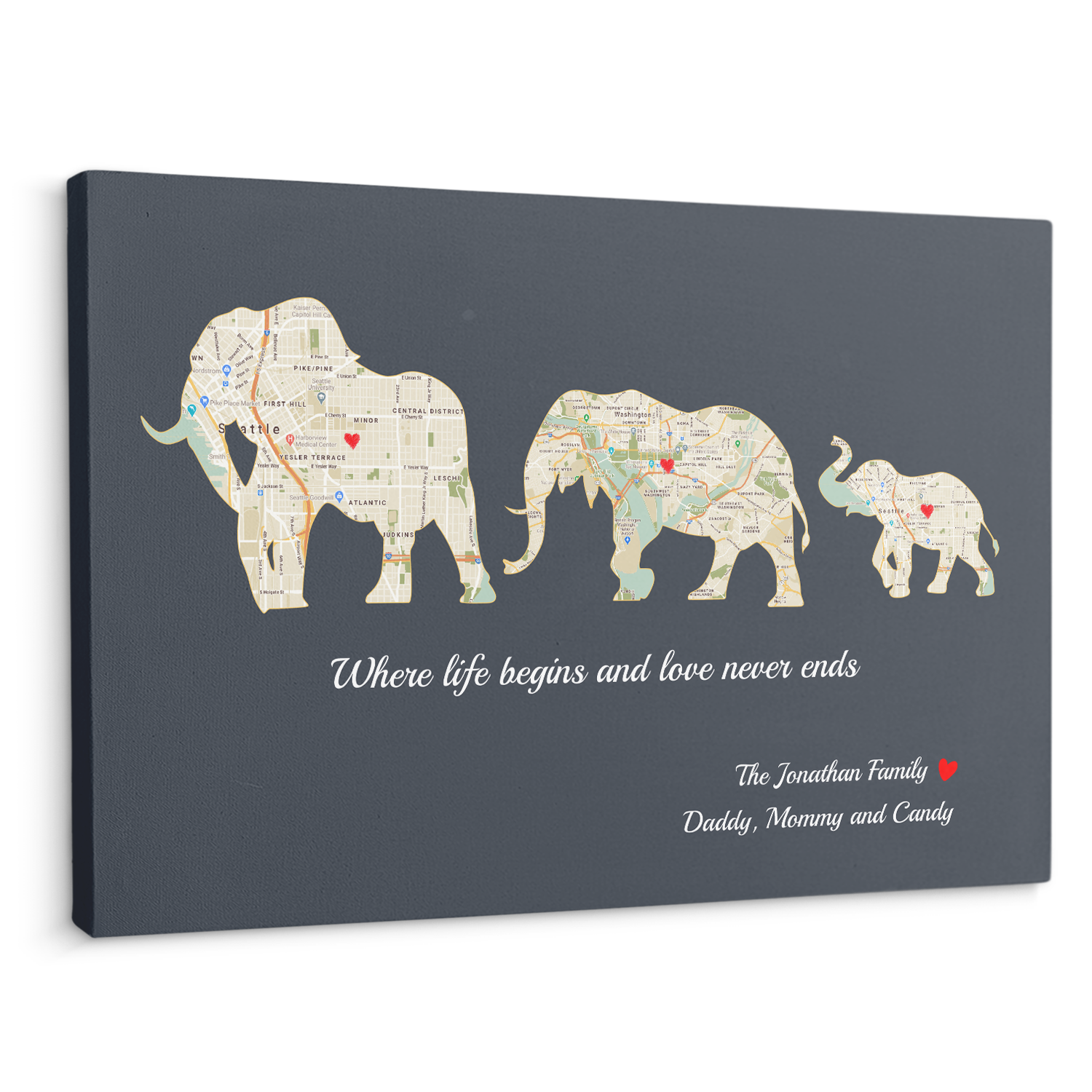 Elephant Family, Custom Map Print, Customizable Family Name And Text Canvas Wall Art