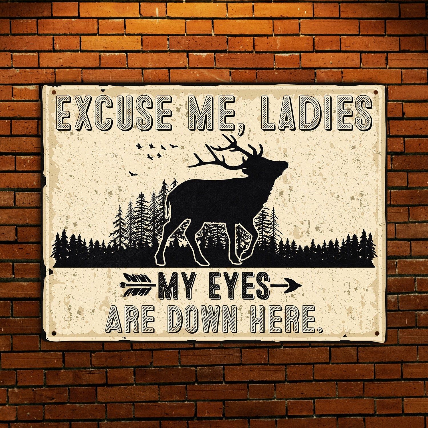 Excuse Me, Ladies My Eyes Are Down Here, Metal Signs